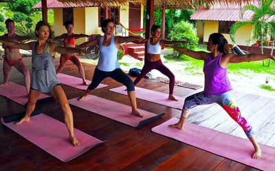 Why Become a Yoga Teacher NOW?